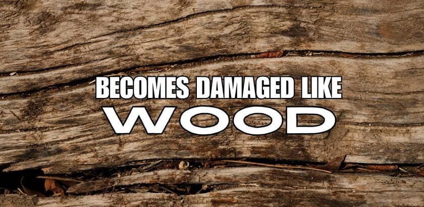 becomes damaged like wood